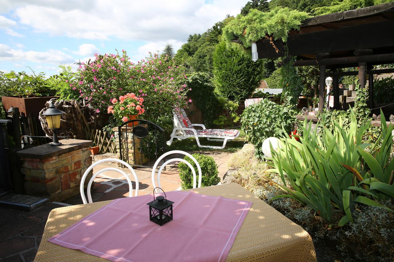 Hotel Pension Weinberg mit Landhaus Nizza Gleisweiler Exterior foto